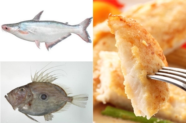 多利魚都是鯰魚冒充的! 華麗改名｢巴沙魚｣ | 華視新聞