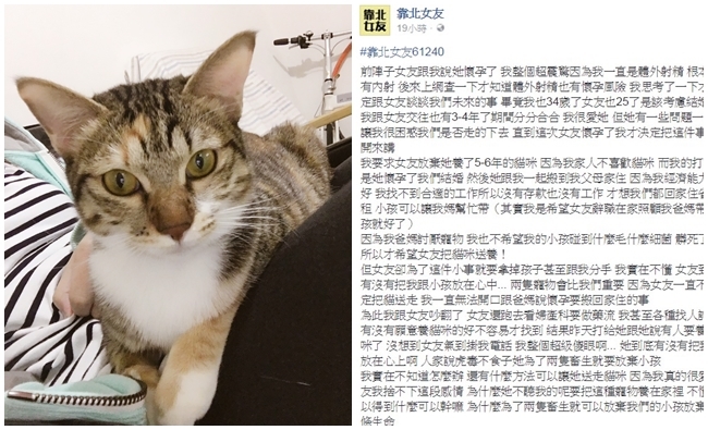 女友為貓拿掉孩子 他討拍反被批"最好單身別害人" | 華視新聞