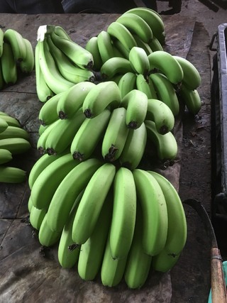 失戀要吃香蕉皮?! 專家證實:選綠的吃