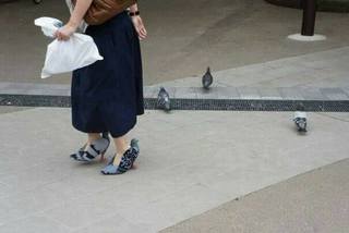 她腳上踏著"鴿子" 網友:造乾那ㄅㄨㄟ