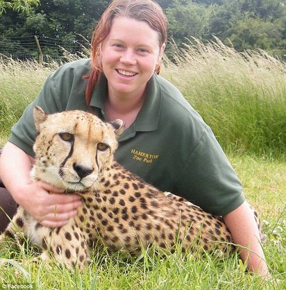搶救不及! 英國1動物園老虎咬死女管理員 | 管理員與豹的互動。