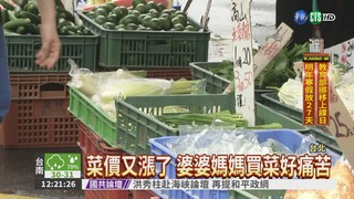 豪雨釀菜量減1/4 菜價漲逾4成