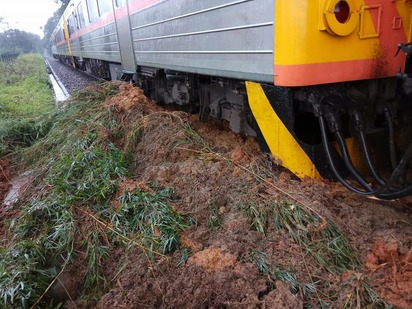 台鐵內灣線路樹倒塌 列車撞上40旅客平安 | 路樹倒塌。