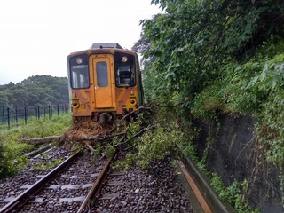 台鐵內灣線路樹倒塌 列車撞上40旅客平安