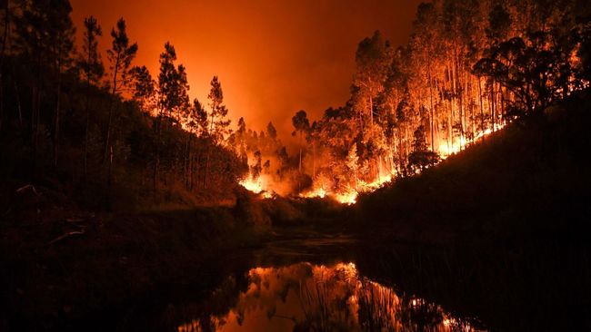葡萄牙森林大火 死亡人數達43人大多死在車內 | 華視新聞