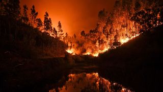 葡萄牙森林大火 死亡人數達43人大多死在車內