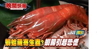 【晚間搶先報】蝦頭冒寄生蟲? "蝦腸"引婆媽恐慌