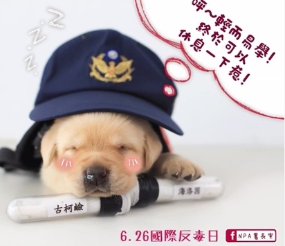 萌爆了! 新北市警犬"福星"有IG了 | 福星國際反毒日宣傳。