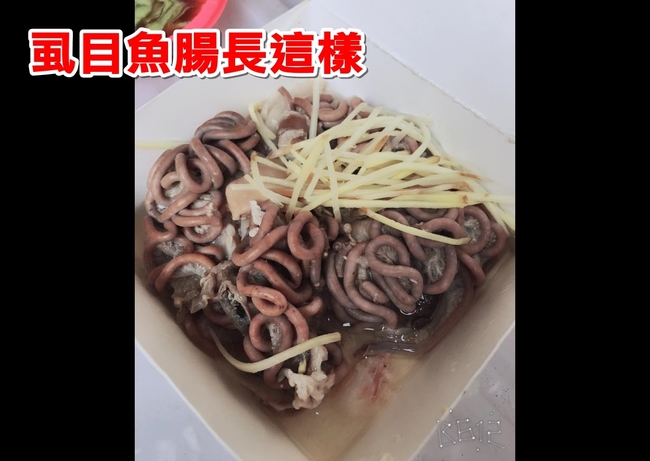 虱目魚腸長這樣 "這不是蚯蚓嗎" | 華視新聞