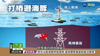 風機傳噪音 台灣白海豚陷危機!