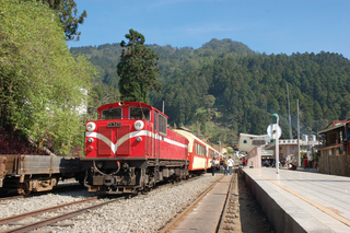 阿里山鐵路復駛 向印度取經申請世界遺產