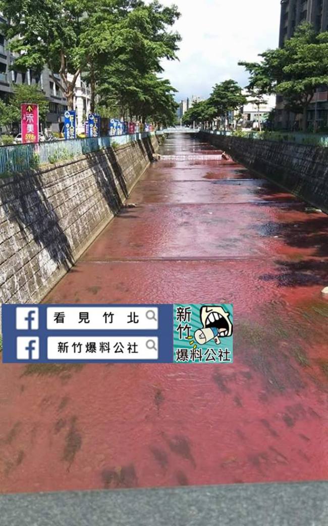 氣死! 竹北豆子埔溪又遭汙染 環保局持續追查 | 華視新聞