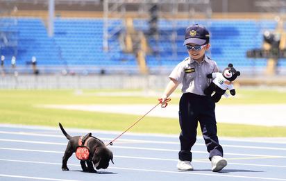 【圖】萌到太犯規! 警犬六小萌到世大運場館實習 | 小警犬與小小警察。