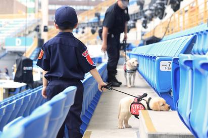 【圖】萌到太犯規! 警犬六小萌到世大運場館實習 | 小警犬巡場座位區。