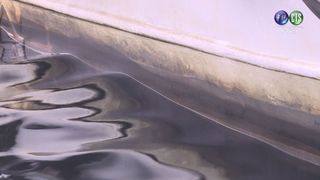 【午間搶先報】高雄港被污水染黑 環保局急查
