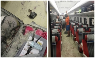 普悠瑪號旅客行李鋰電池爆炸! 台鐵:無人受傷