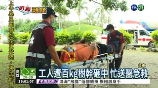 防颱風修剪樹枝 工人遭砸傷