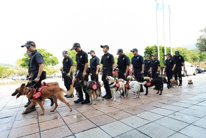 貢寮海祭第二天 超萌警犬福星人氣不減 | 今日有十多隻警犬到場。