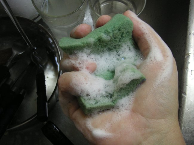 洗碗海綿根本細菌溫床?! 德研究:比馬桶髒 | 華視新聞