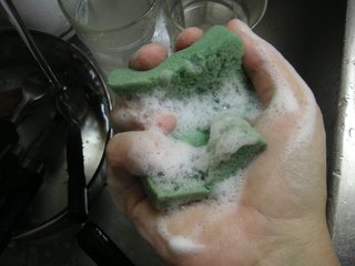 洗碗海綿根本細菌溫床?! 德研究:比馬桶髒