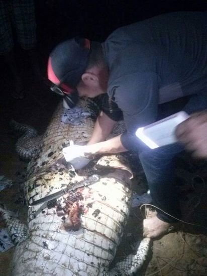 巴西農夫離奇失蹤 竟在鱷魚肚內找到遺骸 | (翻攝鏡報)