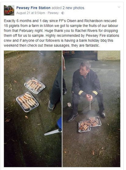 打火兄弟搶救豬舍 半年後竟吃到"香腸" | 消防隊員將香腸炭烤，大讚美味。