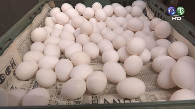 毒雞蛋 回收百萬顆 林全:第一時間沒耽擱 | 華視新聞