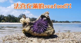 感恩seafood 農委會"潮潮小編"曝光了!