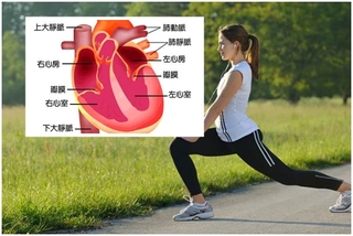 運動後水腫 恐是心臟疾病警訊!