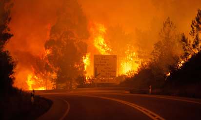 葡萄牙森林大火60死 學童控告47碳排大國 | (翻攝歐新社)