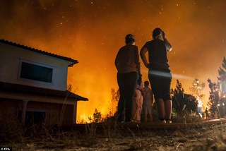 葡萄牙森林大火60死 學童控告47碳排大國