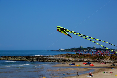 國際風箏節新北登場 "台灣藍鵲"也參一咖 | (新北市政府提供)
