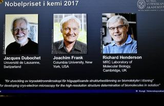 2017諾貝爾化學獎出爐! 瑞士.美.英3學者獲殊榮