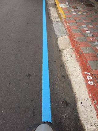 "藍色標線"通往海邊? 網友解惑是這用途