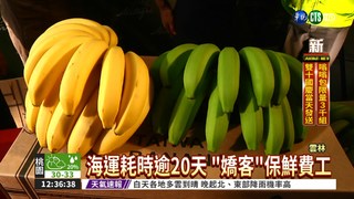 雲林香蕉外銷杜拜 搖身8倍價