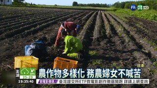 追求成就感 日本婦女投身農業