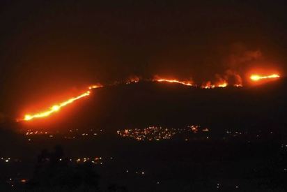 森林大火釀106死 葡萄牙內政部長辭職負責 | 葡萄牙森林大火。(翻攝美聯社)