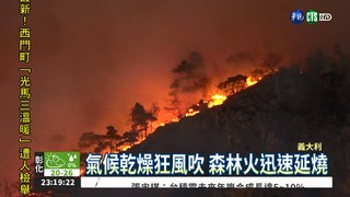 義大利森林大火 毀上百公頃
