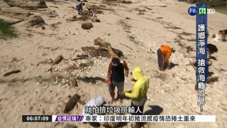 淨灘救海龜 小琉球推"海灘貨幣"