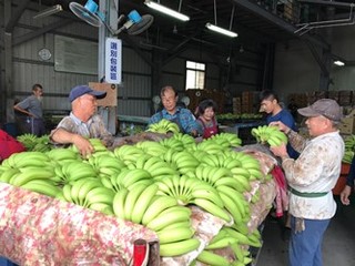 中油"蕉"心挺農民 100座加油站賣香蕉