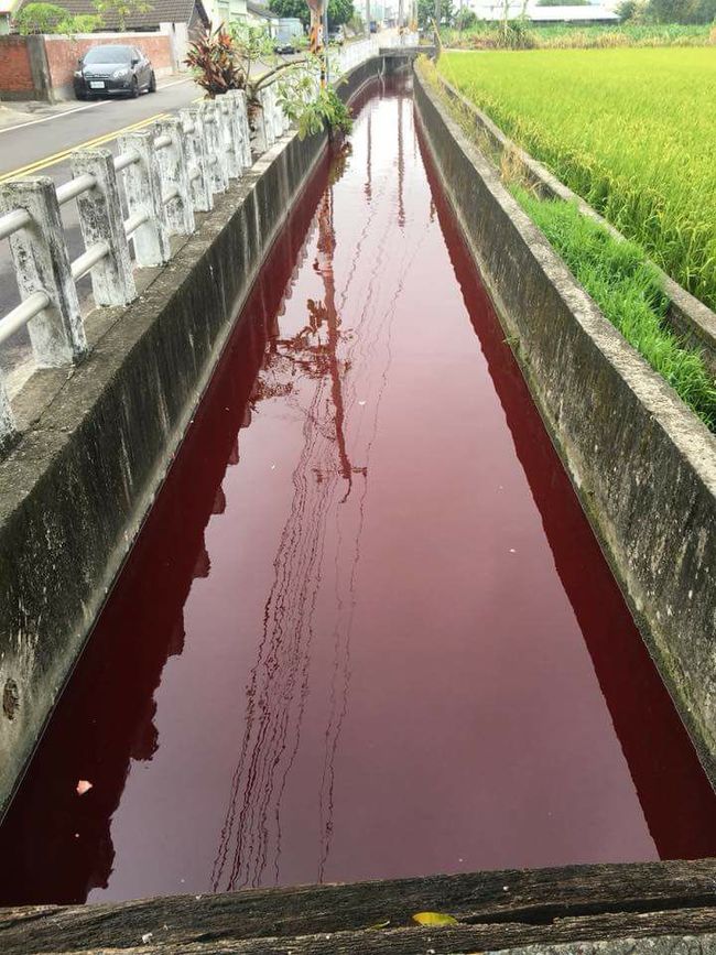 后里水溝"血流成河"2km 環保局:已查獲開罰 | 華視新聞
