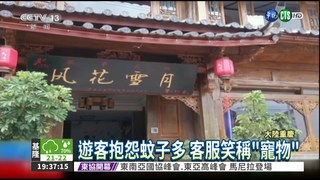 麗江高評價旅館 遊客嗆"惡夢"