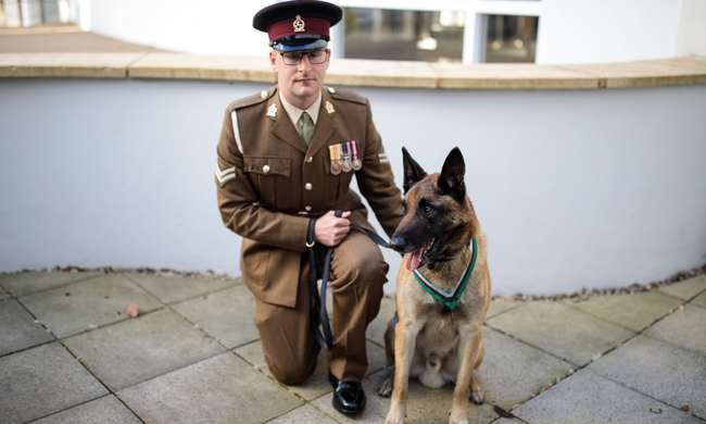 軍犬獲最高榮譽勳章 曾在阿富汗出生入死 | 華視新聞