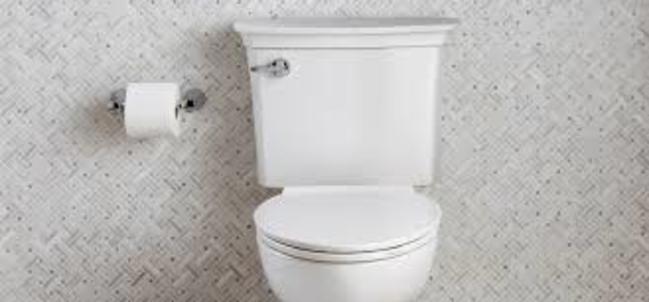 上完廁所蓋馬桶再沖水 專家:避免細菌揚起 | 華視新聞