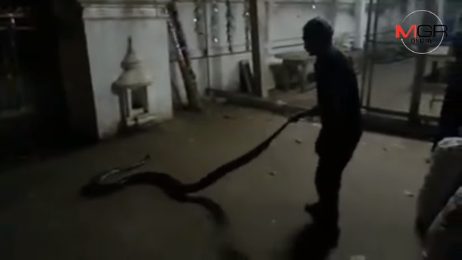 【影】男子抓6公尺蟒蛇塞玻璃罐 2天後打開釀禍 | 華視新聞