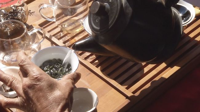 "第一泡茶"其實可以喝! 與農藥關聯無定論 | 華視新聞