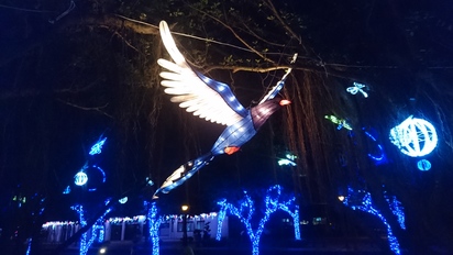 看光點、迎曙光、美食加溫泉 福隆冬天也hen好玩 | 長達兩公尺台灣藍鵲光藝術裝置