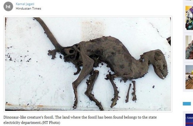 【影】印度驚現神秘遺骸 外型與"恐龍"幾乎一樣 | 華視新聞