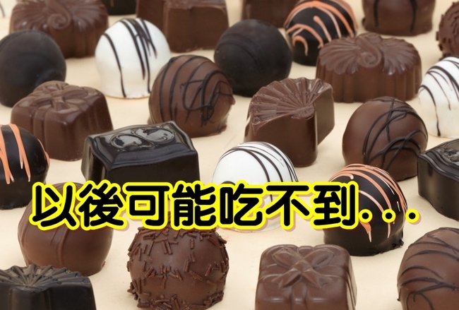 受全球暖化影響 巧克力未來恐吃不到 | 華視新聞