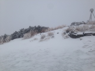 玉山持續下雪！ 今晨積雪累積4.2公分